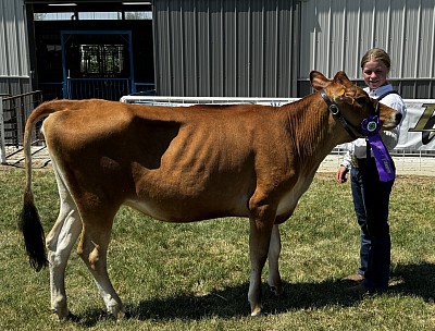 Grand Champion Showmanship and Reserve Dairy Cattle