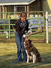2024 Dog. Show