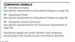 Companion Animal 1