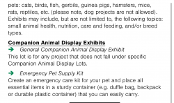 Companion animal 2