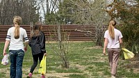 Egg hunt