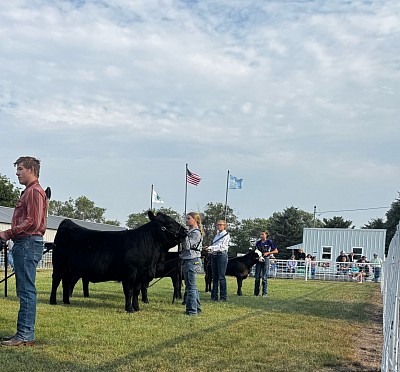 Beef Show