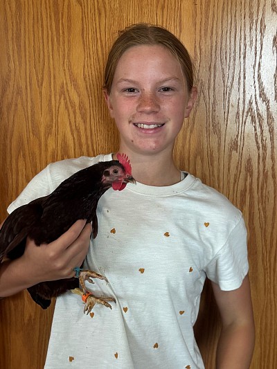 Chicken