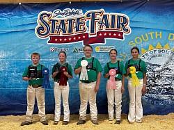 Dairy Showman