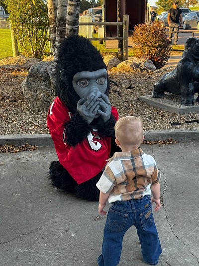 Gorilla