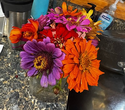 Last Flowers