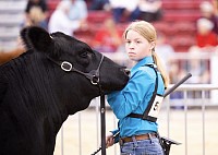 Beef 2025
