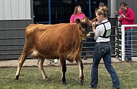 2025 Dairy