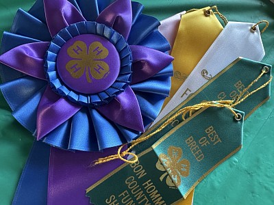 25 bon homme fun show