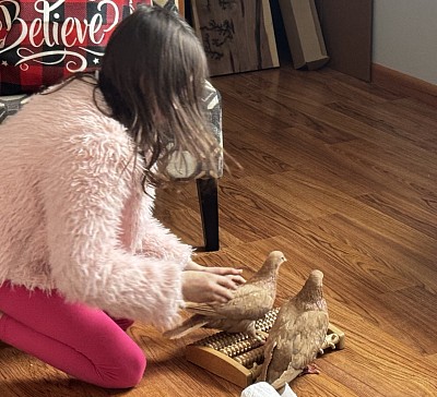 What was in your house