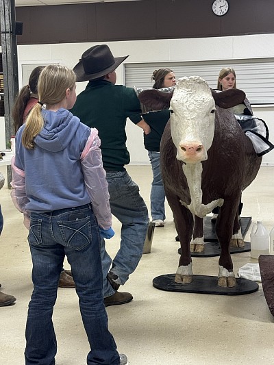 Calving Workshop